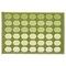 Door Mat Light Green 40X60cm