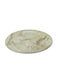 Beige Static Gold Melamine Dinner Plate 10.5