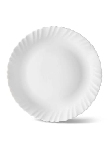 Opal Dinner Plate Food Stains Or Odors