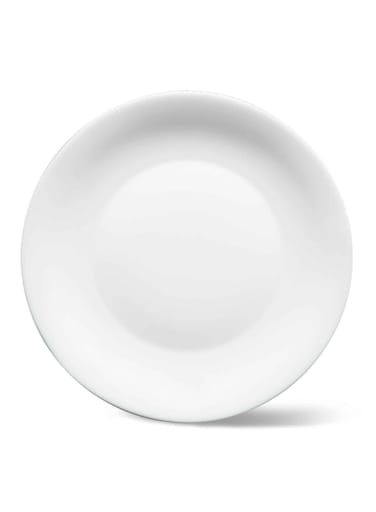 Opal Dinner Plate Resistant For Carefree