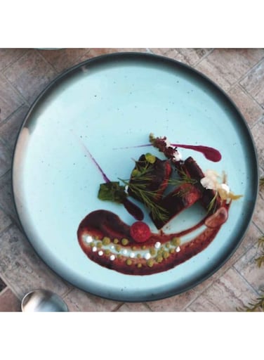 Riva Melamine Dinner Plate High Quality With Modern Design