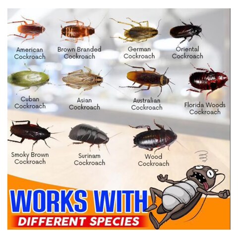 Best Roach Killer Gel - Long-Lasting Cockroach Bait for Indoor &amp; Outdoor Use Pack Of 4