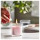 Scented Candle In Glass Jasmine/Pink 20 Hr