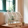 Greenhouse Provides A Good Environment 45cm