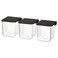 Container With Lid Transparent/Black
