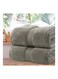 Bliss Casa 2-Piece Bath Sheets 100% Combed Cotton Quick Dry Highly Absorbent