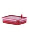 Master Seal Micro Rectangle Food Storage With Inserts Red/Clear 1.2Liters