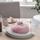 Ramzan Offer Cake Carrier 36cm