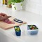 Insert For Food Container, Set Of 2, Dark Blue