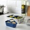 Insert For Food Container, Set Of 2, Dark Blue