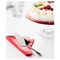 Cake-Slice Stainless Steel 25 Cm