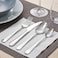 6-Piece Spoon Stainless Steel 17 Cm