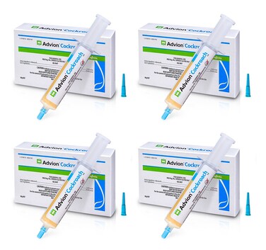 Pack Of 4 Advion Cockroach Gel Bait 30G 1 Plunger And 1Tip Safer And More Effective In Killing Cockroaches