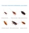 Buy 4 Get 6 Advion Cockroach Gel Bait 30G 1 Plunger And 1Tip Safer And More Effective In Killing Cockroaches