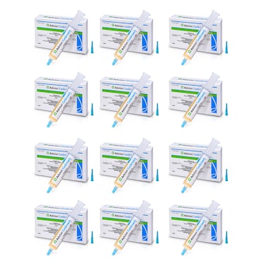 Pack Of 12 Advion Cockroach Gel Bait 30G 1 Plunger And 1Tip Safer And More Effective In Killing Cockroaches