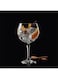 Connexion Gin Cocktail Glass 600Ml Set Of 2