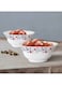 Opal Soup Bowl Bone Ash Free Material Thermal Resistant