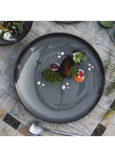 Riva Melamine Dinner Plate Made Of Melamine Unbreakable And Lightweight