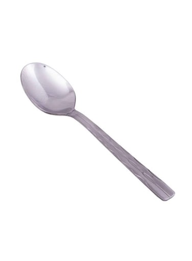 Steel Tea Spoon Set (Set Of 12)