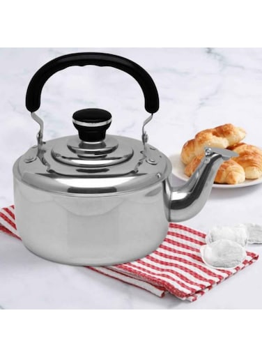 Steel Tea Kettle Fade-Proof Construction Resists Catching