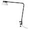 Desk Lamp Black/White