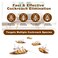 Roach Doctor Buy 3 &amp; Get 1 Free Total 4PCS Gel Bait - Powerful Cockroach Control for Indoor &amp; Outdoor Use 10g