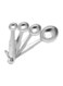 Raj 4-Pieces Measuring Spoon Set Silver