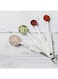 Raj 4-Pieces Measuring Spoon Set Silver