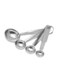 Raj 4-Pieces Measuring Spoon Set Silver