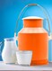 Action Light Weight Milk Storage Can 15 Litres Orange/Silver