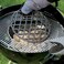 Weber Original Gourmet Barbecue System Sear Grate