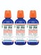 Fresh Icy Mint Oral Rinse &ndash; Professional Dentist Formulated Formula for Lasting Freshness Pack Of 3