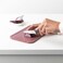 Brabantia Tasty+ Steel Paring Knife (1.7 x 2.5 x 20 cm)