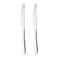 Taylor&rsquo;s Eye Witness Stainless Steel Table Knives (2 pcs)
