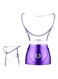 Professional Facial Steamer Purple/Clear