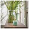 Scented Candle In Glass Fresh Grass/Light Green 40 Hr