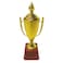 Plastic Golden Painted Trophy Cup With Lid for Competition Winner Kids- 7X24cm