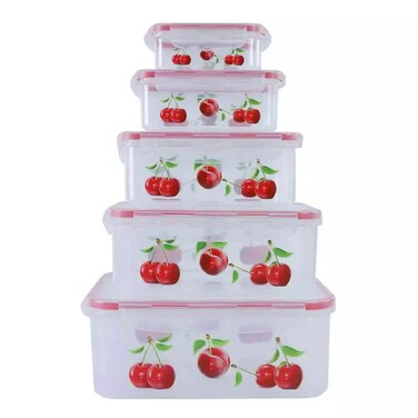 Plastic Food Grade Food Storage Box, Food Containers in Different Sizes- 5pcs