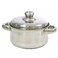 Stainless Steel Hot Pot With Lid- 20Cm