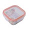 Square Heat Resistant Borosilicate Glass Lunch Box With Anti-Leak Lid- 520ml
