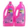 Multi-Use Fabric Stain Remover, Kills 99.9 Percent Germs, Twin Pack - 2X1 Liter