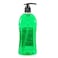 Loyal Dishwashing Liquid with Lemon Zest and Forest Pine- 1 Litre