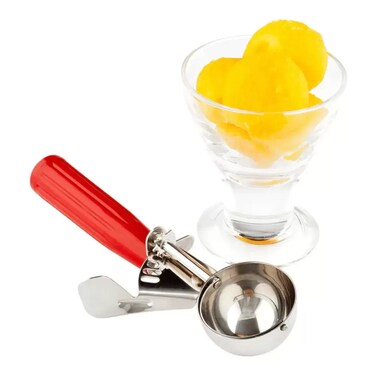 Stainless Steel Ice Cream Scooper With Plastic Handle- Red