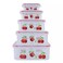 Plastic Food Grade Food Storage Box Food Containers In Different Sizes- 5Pcs