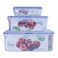 Plastic Food Grade Food Storage Box Microwave And Dishwasher Safe Containers In Different Sizes- 3Pcs