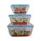 Anti Leakage Clear Plastic Food Container Blue With Airtight Lid Eco Friendly- 3Pcs Set