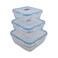 Anti Leakage Clear Plastic Food Container Blue With Airtight Lid Eco Friendly- 3Pcs Set