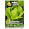 Leben Lattuga Blonde Romaine Lettuce From The Ortolani- 6Gms