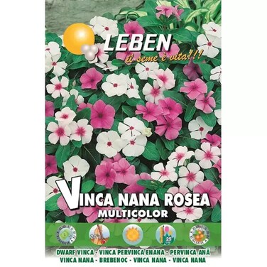 Leben Dwarf Vinca Nana Rosea Multi-Color- 6Gms