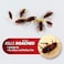 Maxforce Prime Fusion 30 Gm Cockroach Gel For Home And Kitchen   Anti Roach Gel   Cockroach Killer